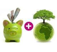 Économie - Écologie : même combat ?